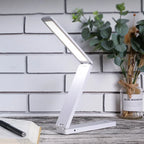 D2 LED Desk Lamp Light Three-Mode Lighting Brightness USB Dual Power Supply System Eye Protection Learning Read Desk Lamp Gift