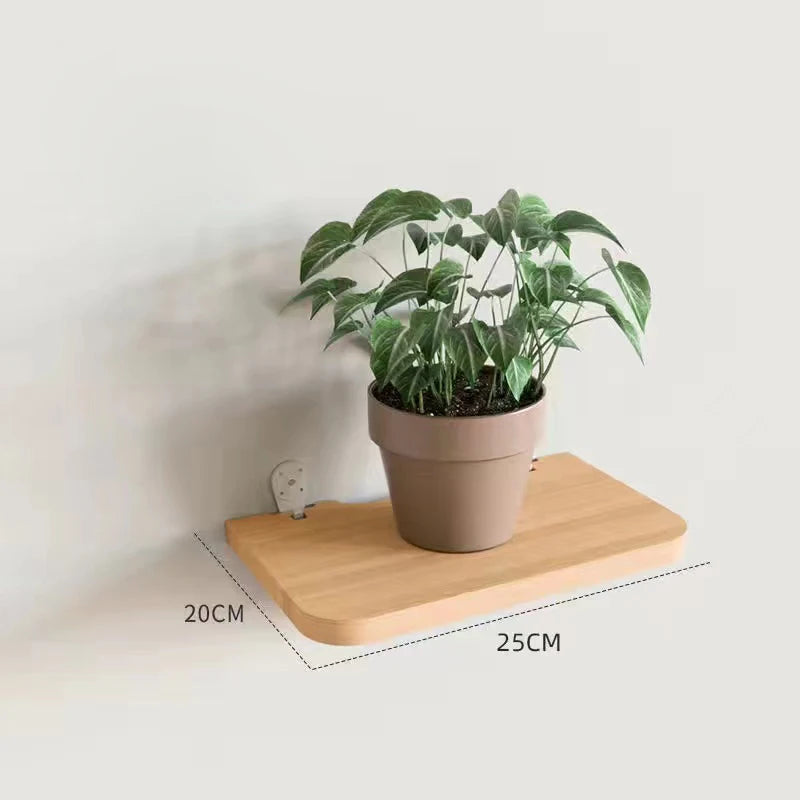 Solid Wood Wall Shelf for Books Kitchen Wall Organizer Stand Partition Wall Dividers Flower Pot Holder Home Decor Storage Rack