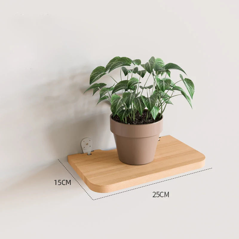 Solid Wood Wall Shelf for Books Kitchen Wall Organizer Stand Partition Wall Dividers Flower Pot Holder Home Decor Storage Rack