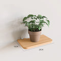 Solid Wood Wall Shelf for Books Kitchen Wall Organizer Stand Partition Wall Dividers Flower Pot Holder Home Decor Storage Rack