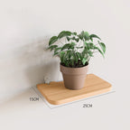 Solid Wood Wall Shelf for Books Kitchen Wall Organizer Stand Partition Wall Dividers Flower Pot Holder Home Decor Storage Rack