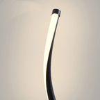 Frame detail of modern curved LED floor lamp