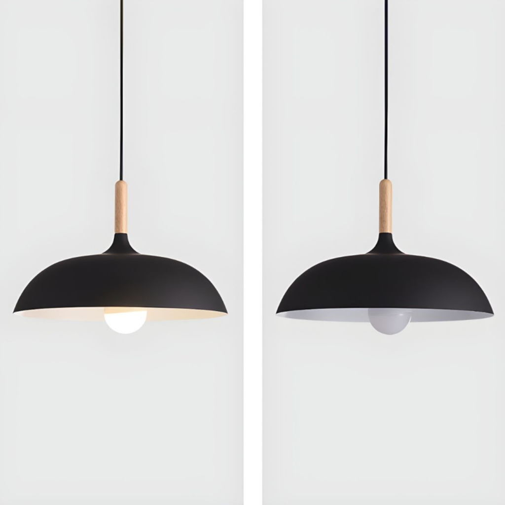 Modern dome pendant light with light turned off