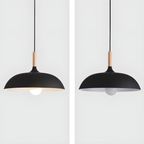 Modern dome pendant light with light turned off