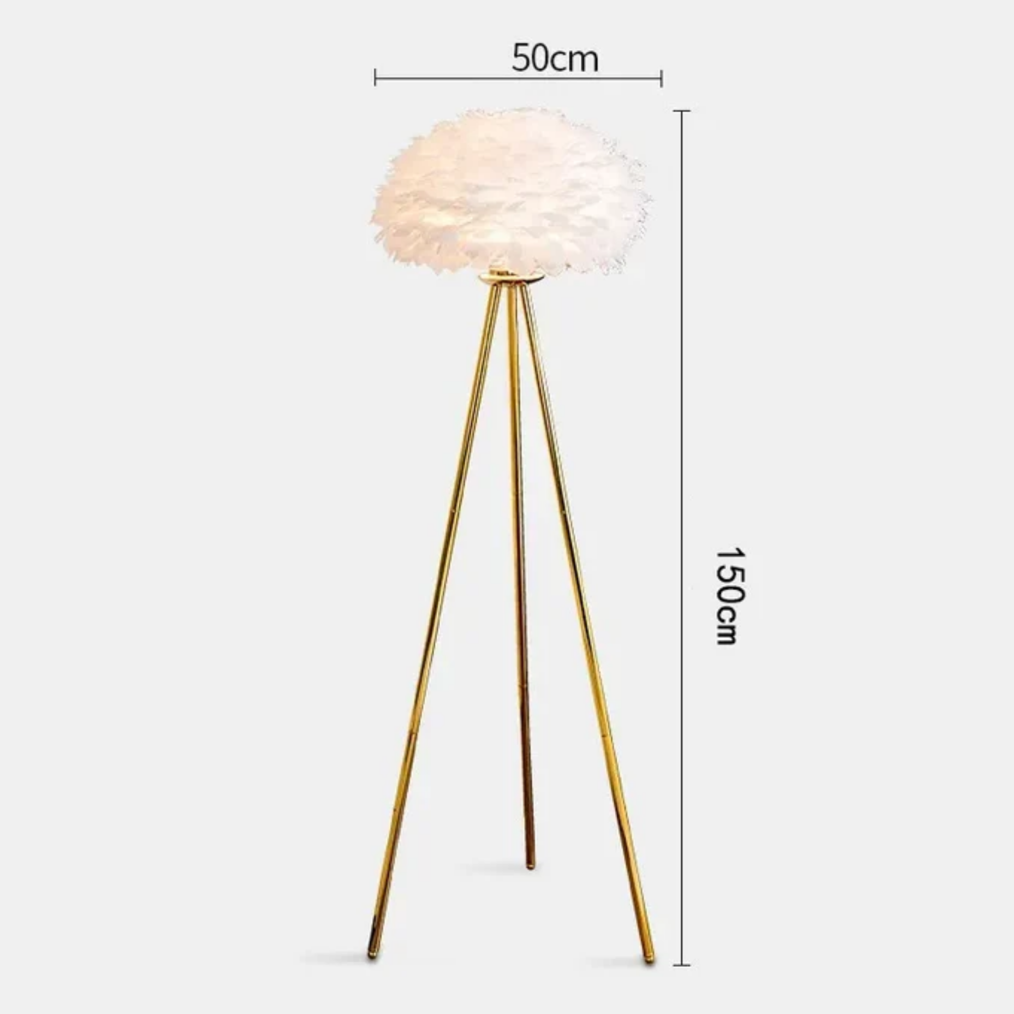 Dimensions of the modern feather globe floor lamp