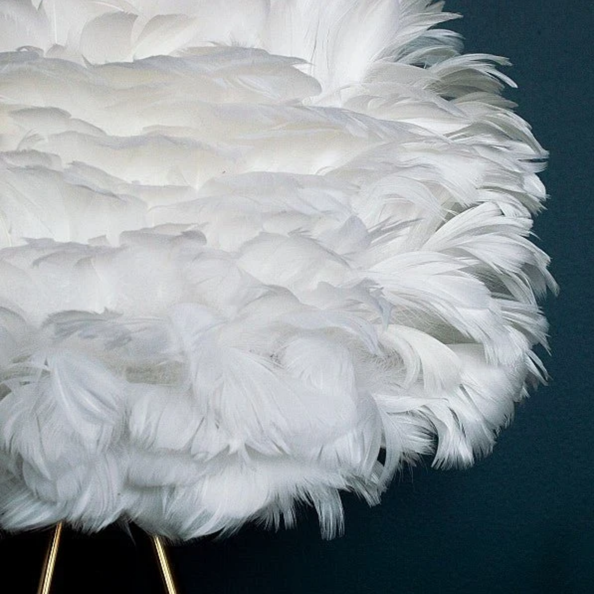 Close-up of the feather lampshade