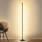 Modern Nordic slim LED floor lamp with metal frame