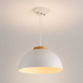 Modern Nordic wooden LED pendant light