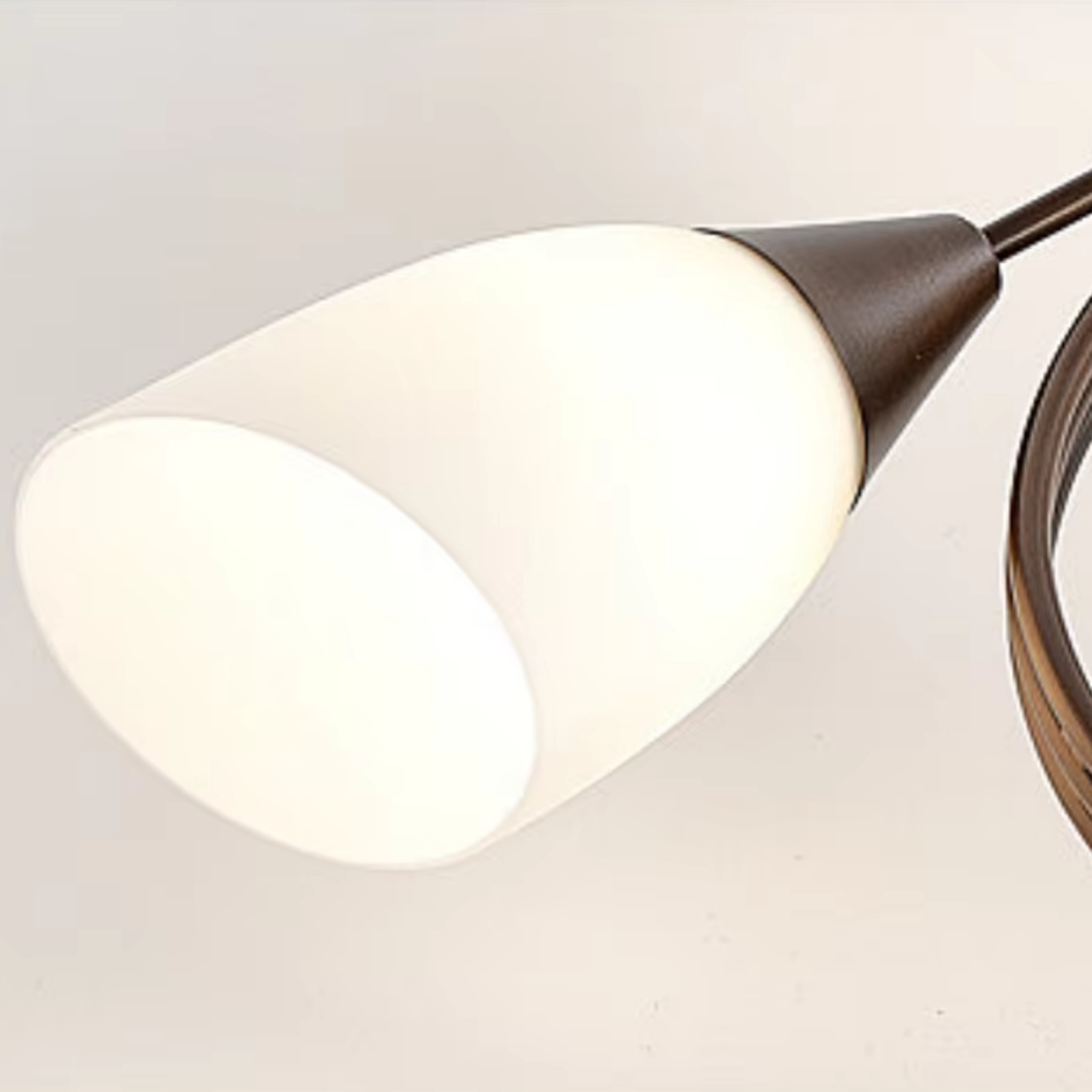 Detail of the glass shade