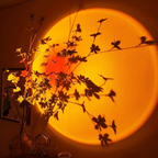 Sunset projection light effect displayed on a wall